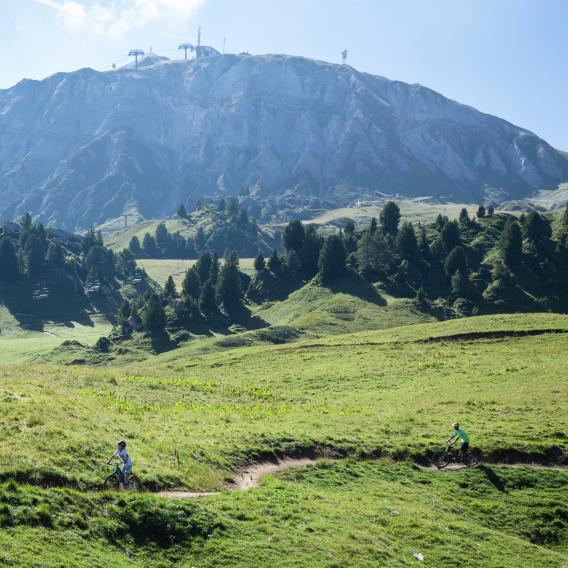 Bike park la Plagne Bike park la Plagne