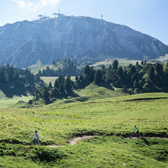 Bike park la Plagne