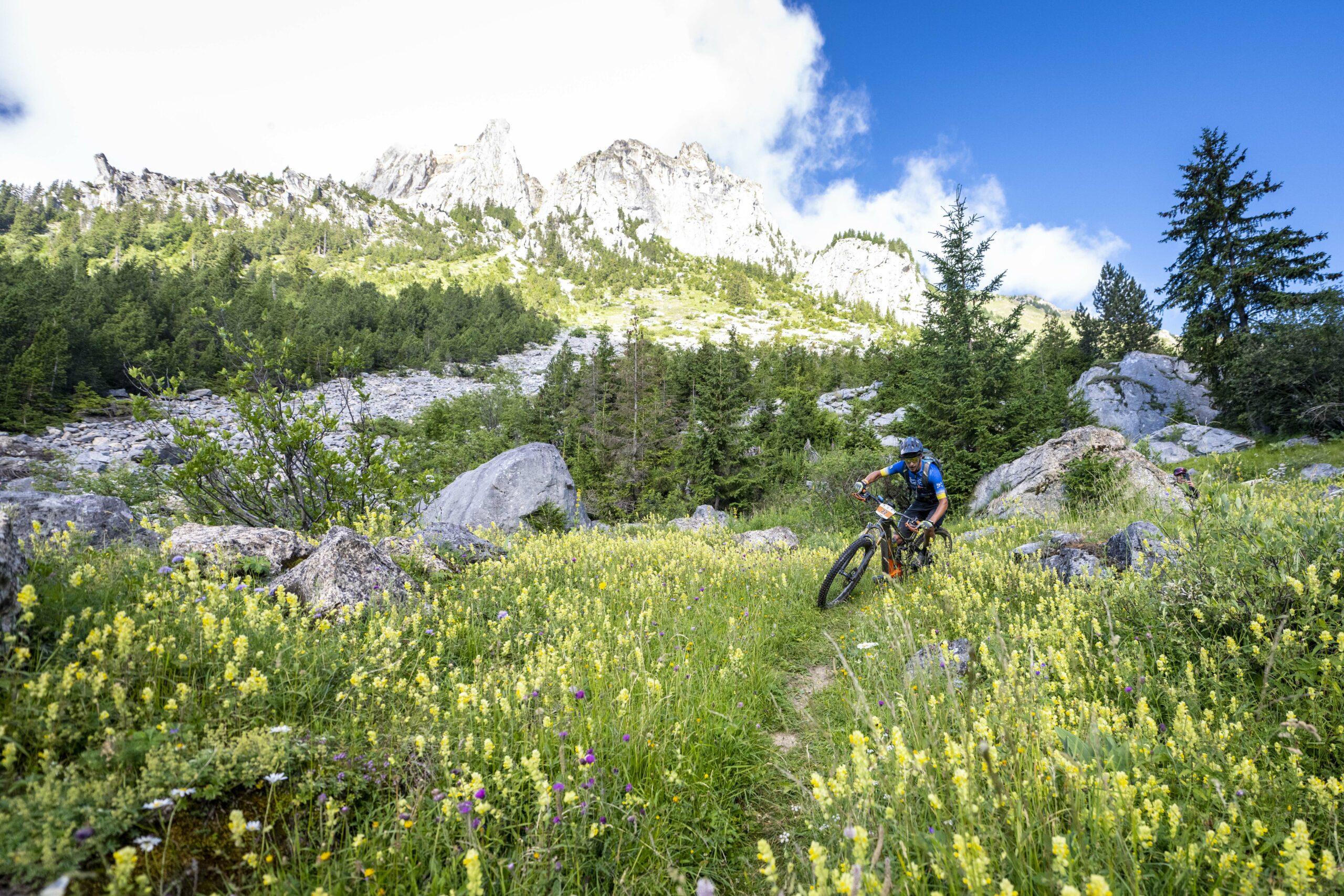 vététistes en descente technique en forêt